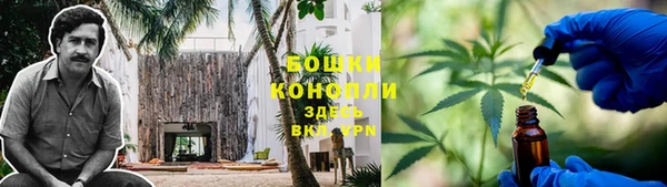 прущие грибы Кукмор