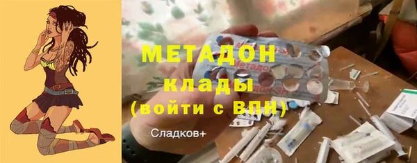 прущие грибы Кукмор