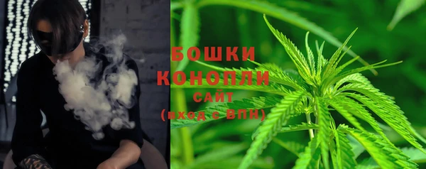 прущие грибы Кукмор