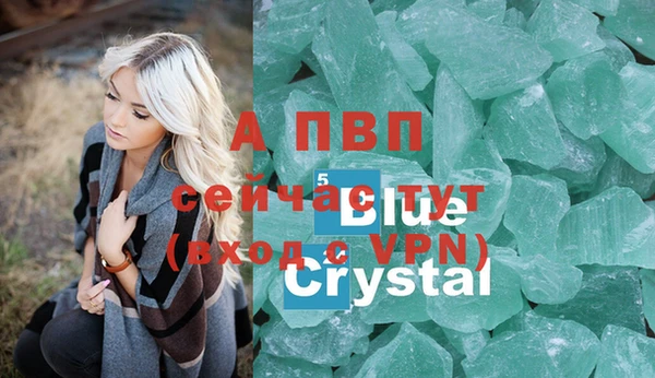 прущие грибы Кукмор