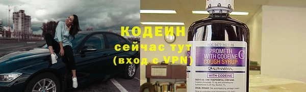 прущие грибы Кукмор