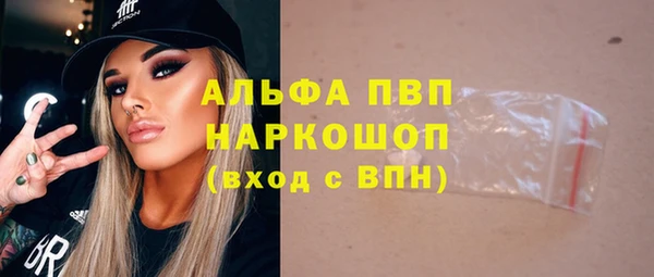 прущие грибы Кукмор