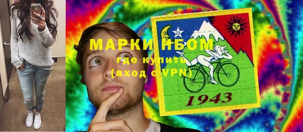 прущие грибы Кукмор