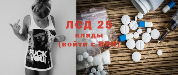 прущие грибы Кукмор